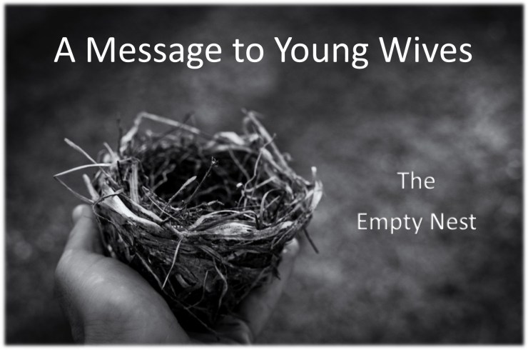 empty nest - michelle curren